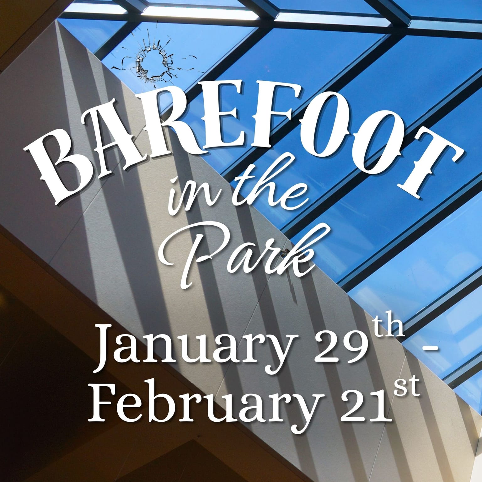 Barefoot in the Park - New Oak Theatre production