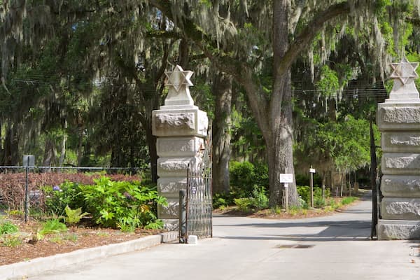 Bonaventure Avenue main pathway lined with Victorian monuments and Spanish moss draped live oaks