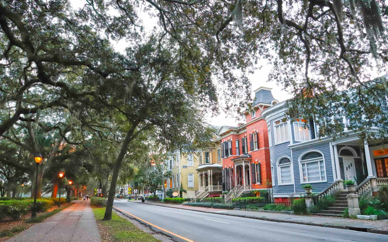 Ancient live oak trees creating a natural canopy over a Savannah street