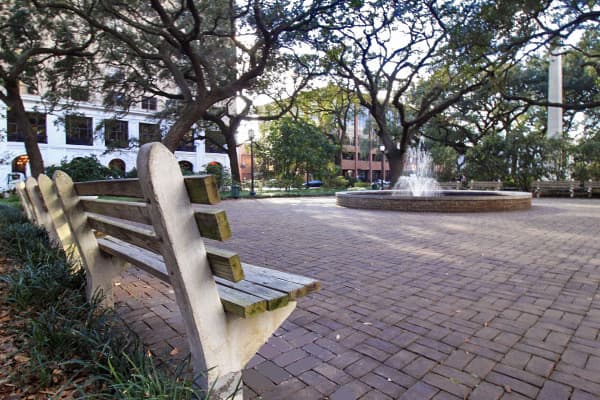 Jackson Square historic plaza with Andrew Jackson monument, restaurants, galleries, and Spanish moss
